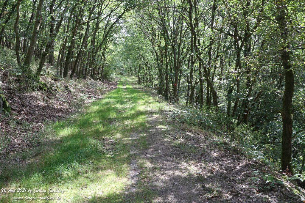 Philosophische Bildwanderung St. Oswald - Schleife - Rhein - Burgen - Weg - Manubach - Hunsrück