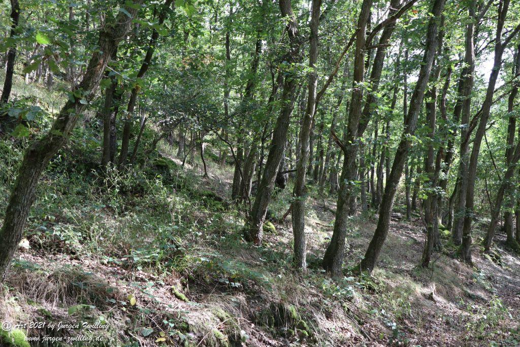 Philosophische Bildwanderung St. Oswald - Schleife - Rhein - Burgen - Weg - Manubach - Hunsrück