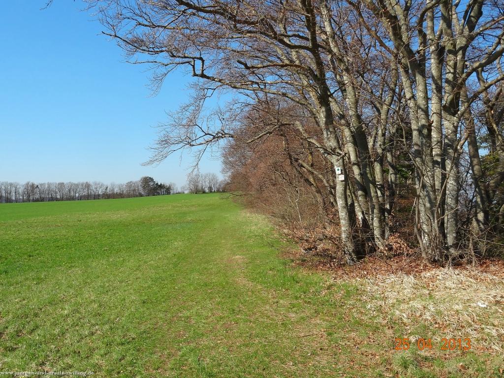 Philosophische Bildwanderung Traufgang-Felsenmeersteig