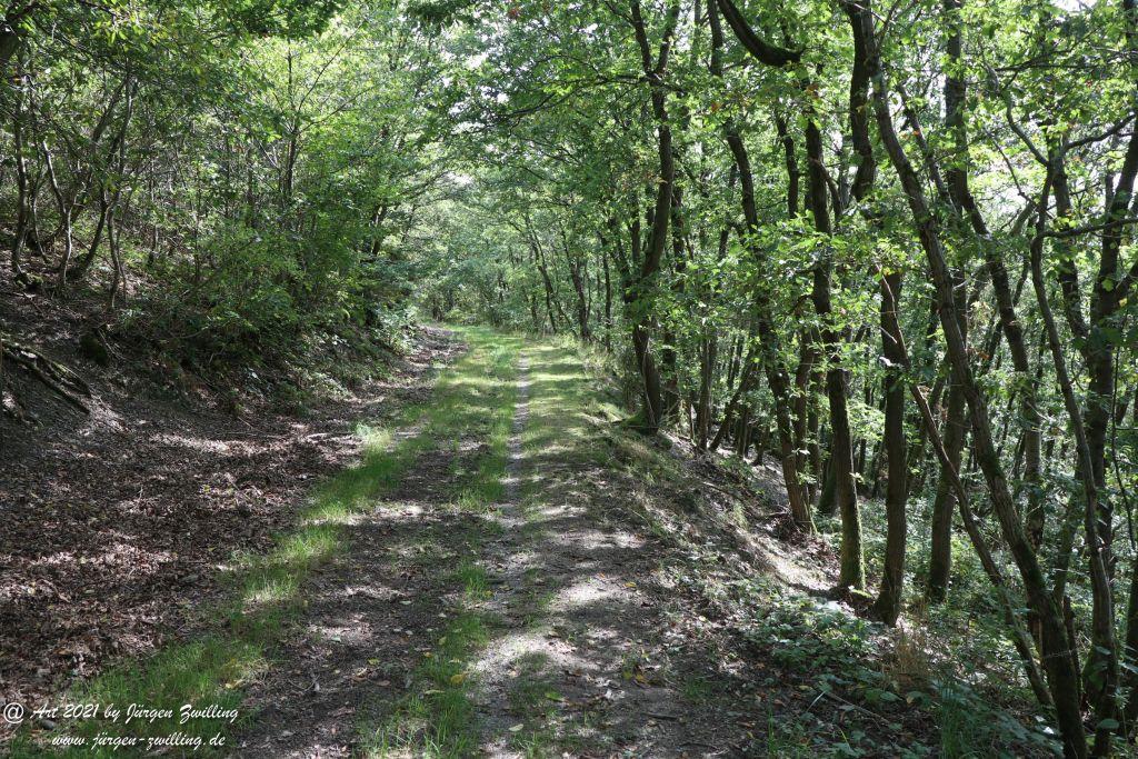 Philosophische Bildwanderung St. Oswald - Schleife - Rhein - Burgen - Weg - Manubach - Hunsrück