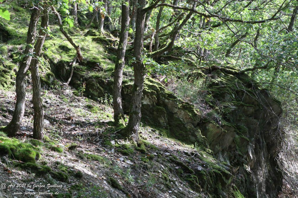 Philosophische Bildwanderung St. Oswald - Schleife - Rhein - Burgen - Weg - Manubach - Hunsrück