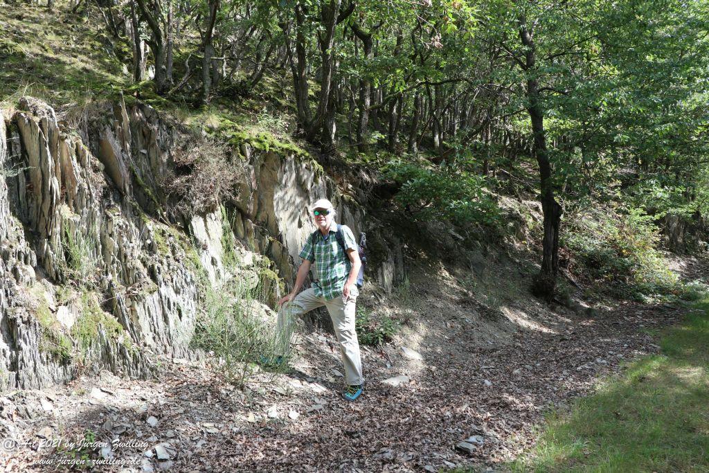 Philosophische Bildwanderung St. Oswald - Schleife - Rhein - Burgen - Weg - Manubach - Hunsrück