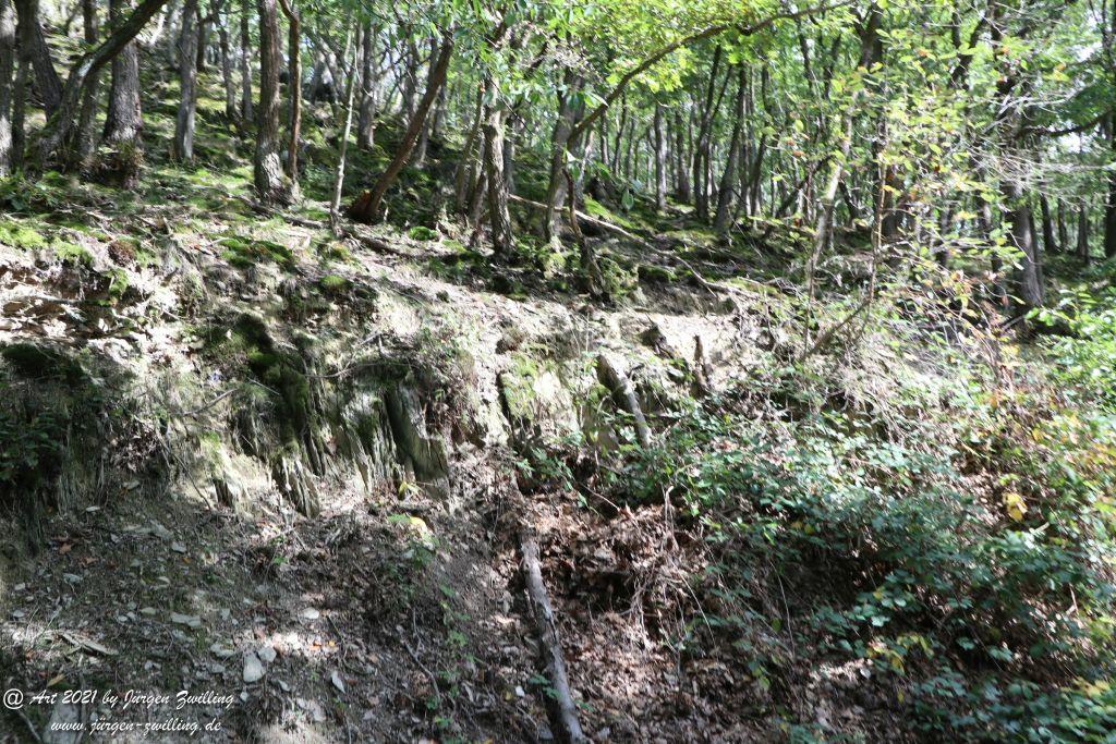 Philosophische Bildwanderung St. Oswald - Schleife - Rhein - Burgen - Weg - Manubach - Hunsrück