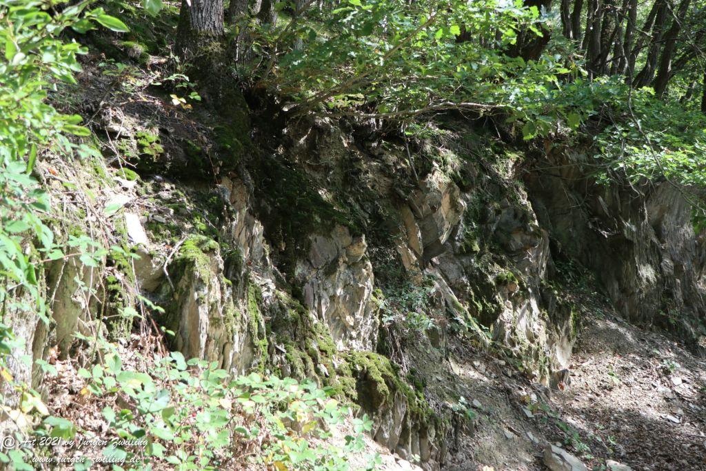 Philosophische Bildwanderung St. Oswald - Schleife - Rhein - Burgen - Weg - Manubach - Hunsrück