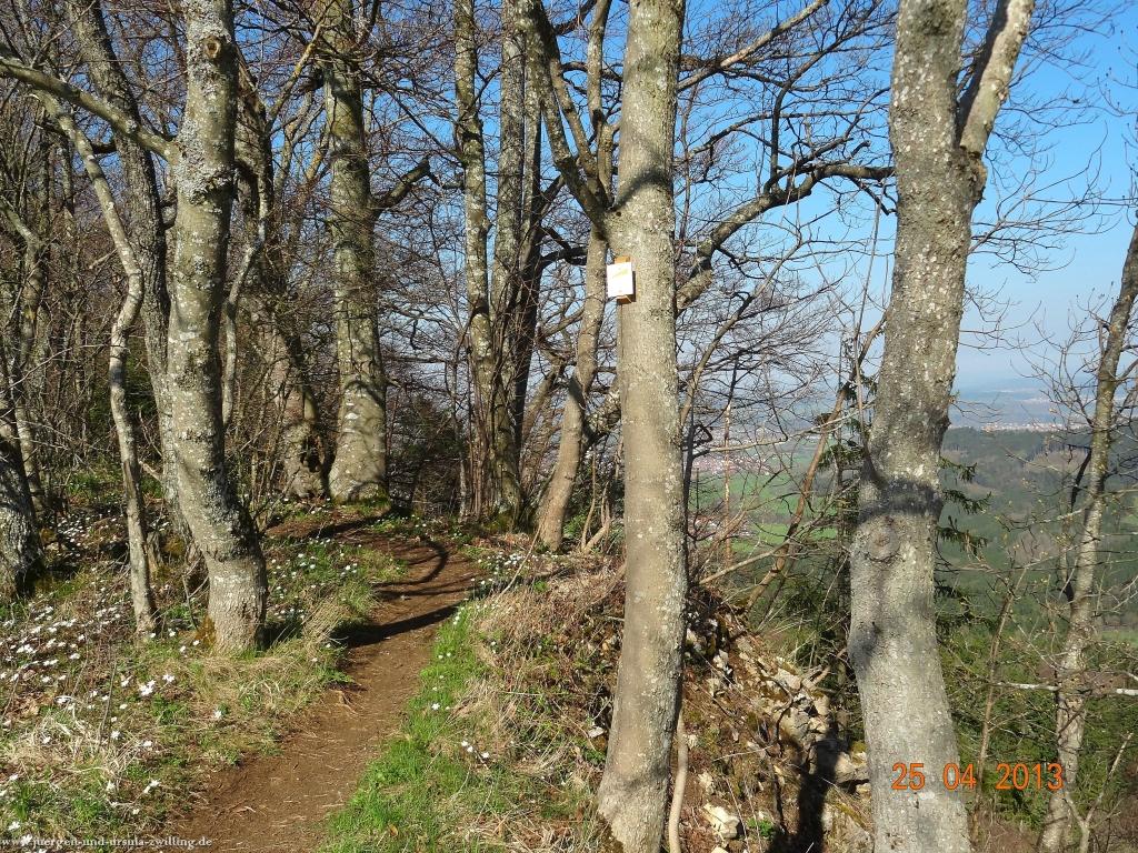 Philosophische Bildwanderung Traufgang-Felsenmeersteig