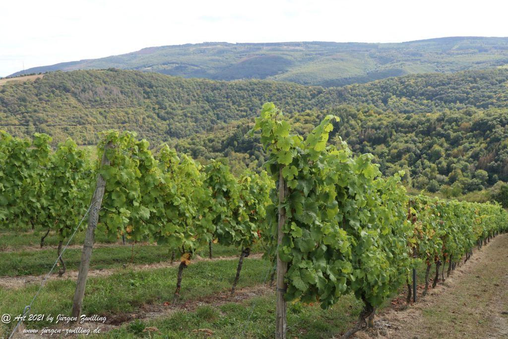 Philosophische Bildwanderung St. Oswald - Schleife - Rhein - Burgen - Weg - Manubach - Hunsrück