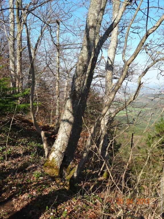 Philosophische Bildwanderung Traufgang-Felsenmeersteig