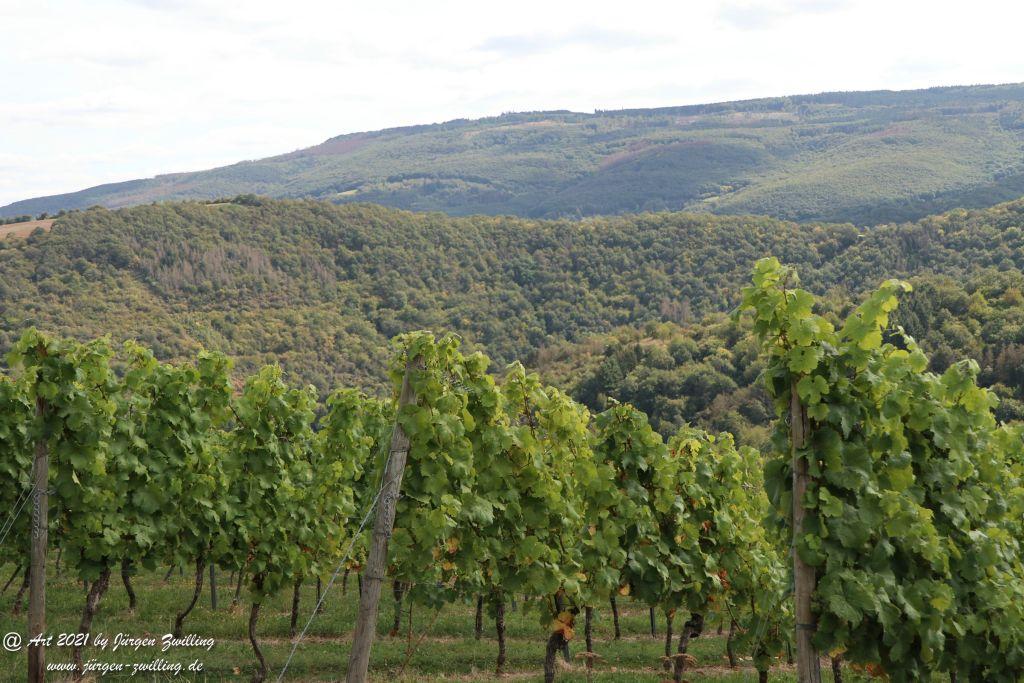 Philosophische Bildwanderung St. Oswald - Schleife - Rhein - Burgen - Weg - Manubach - Hunsrück