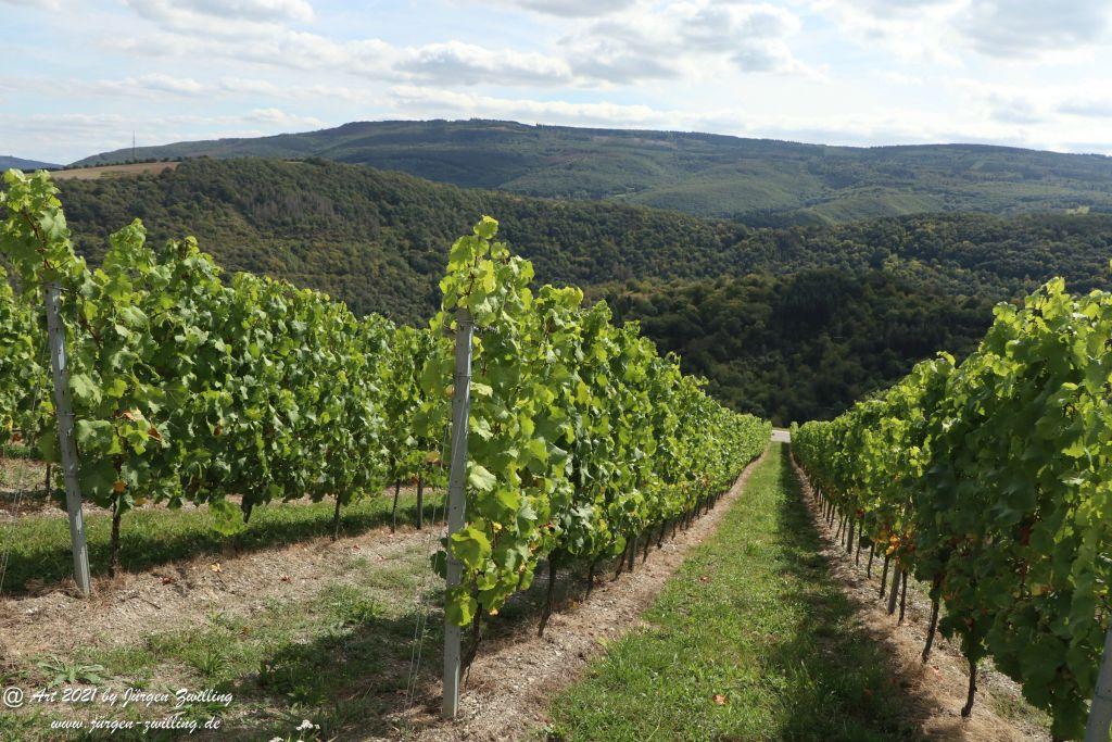 Philosophische Bildwanderung St. Oswald - Schleife - Rhein - Burgen - Weg - Manubach - Hunsrück