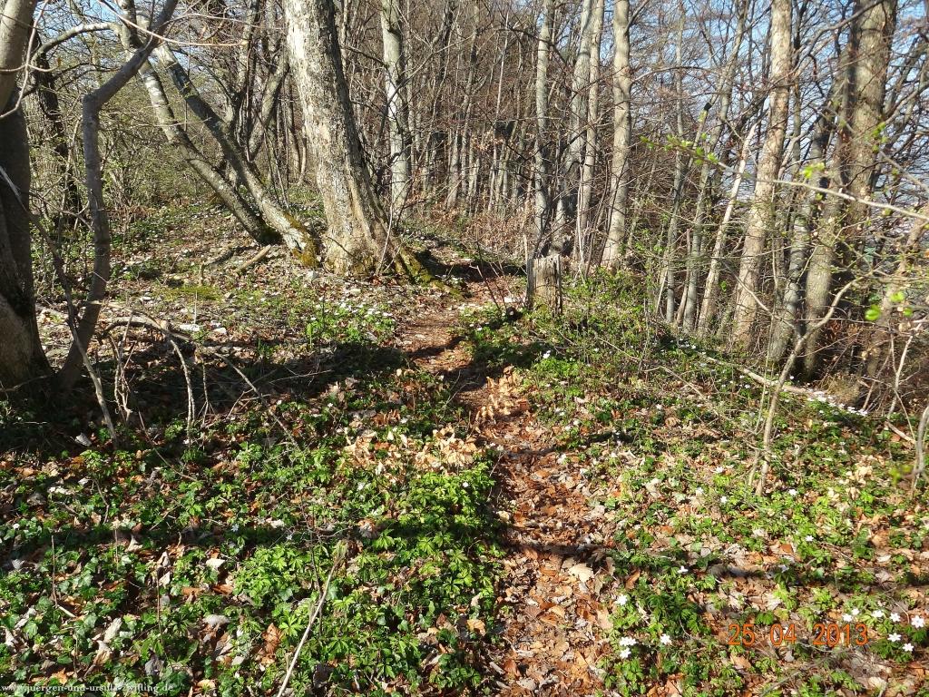 Philosophische Bildwanderung Traufgang-Felsenmeersteig