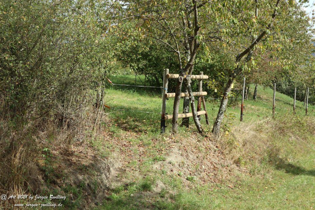 Philosophische Bildwanderung St. Oswald - Schleife - Rhein - Burgen - Weg - Manubach - Hunsrück