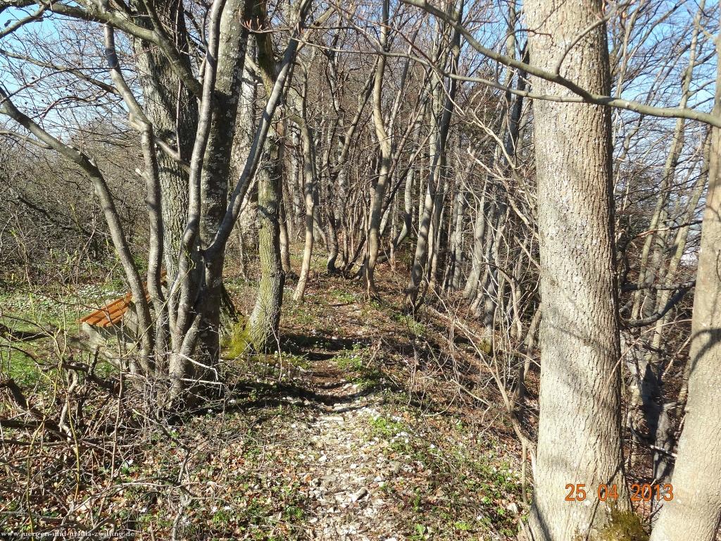 Philosophische Bildwanderung Traufgang-Felsenmeersteig