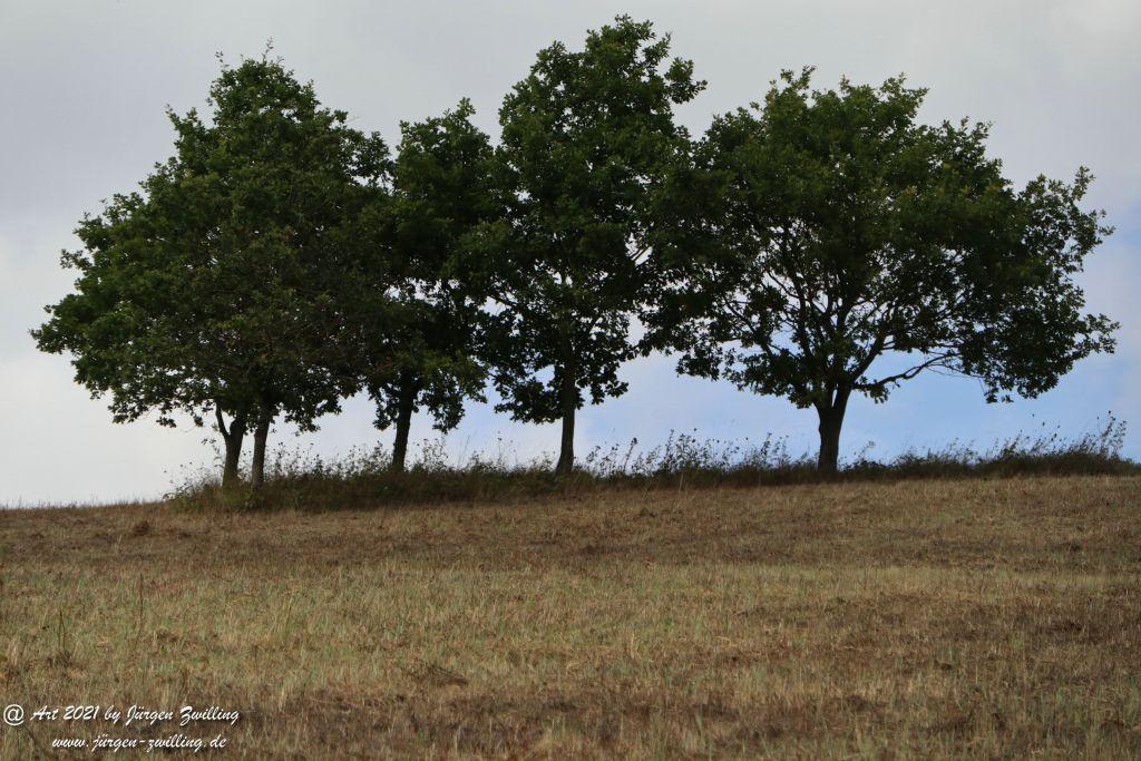 Philosophische Bildwanderung St. Oswald - Schleife - Rhein - Burgen - Weg - Manubach - Hunsrück