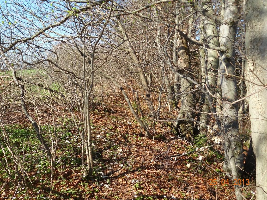 Philosophische Bildwanderung Traufgang-Felsenmeersteig