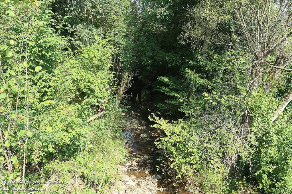 Philosophische Bildwanderung Vitaltour Um die Wüstung - Bockenauer Schweiz - Soonwald - Nahe