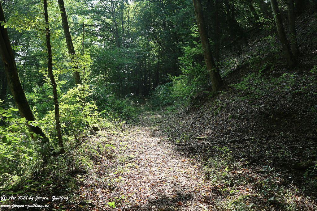 Philosophische Bildwanderung Vitaltour Um die Wüstung - Bockenauer Schweiz - Soonwald - Nahe