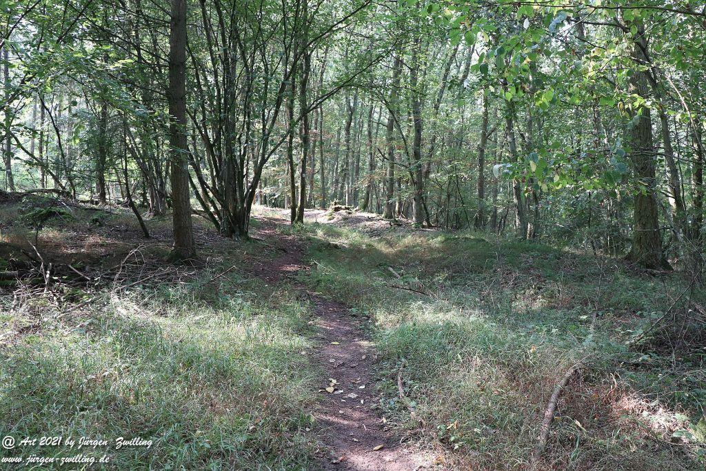 Philosophische Bildwanderung Vitaltour Um die Wüstung - Bockenauer Schweiz - Soonwald - Nahe