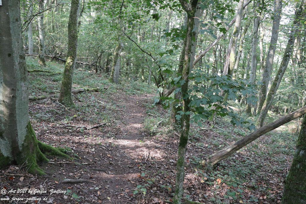 Philosophische Bildwanderung Vitaltour Um die Wüstung - Bockenauer Schweiz - Soonwald - Nahe