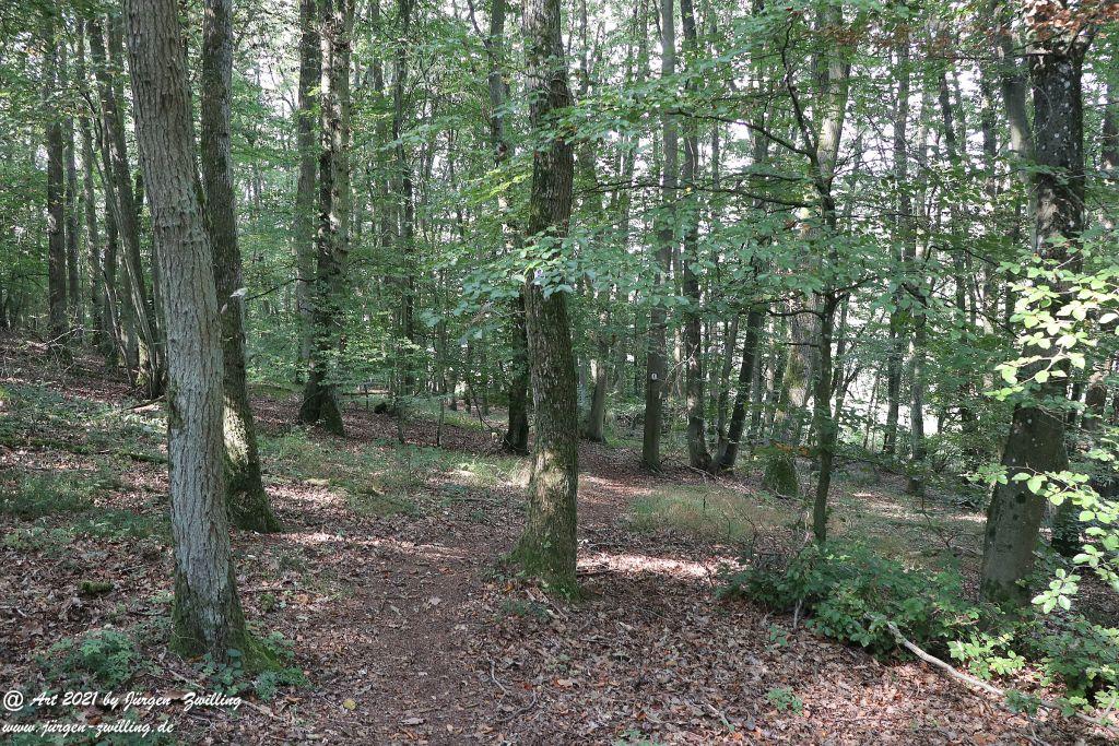 Philosophische Bildwanderung Vitaltour Um die Wüstung - Bockenauer Schweiz - Soonwald - Nahe