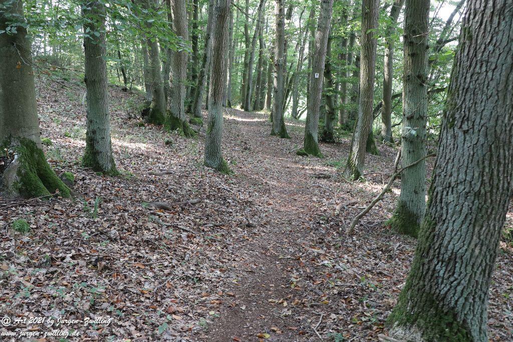 Philosophische Bildwanderung Vitaltour Um die Wüstung - Bockenauer Schweiz - Soonwald - Nahe
