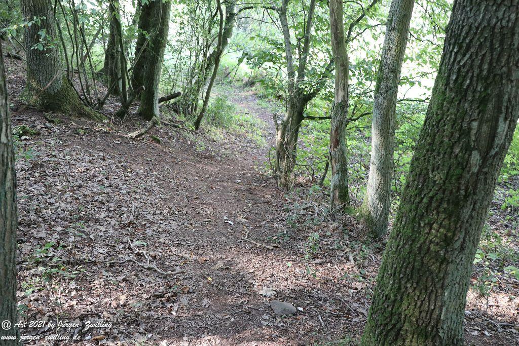 Philosophische Bildwanderung Vitaltour Um die Wüstung - Bockenauer Schweiz - Soonwald - Nahe