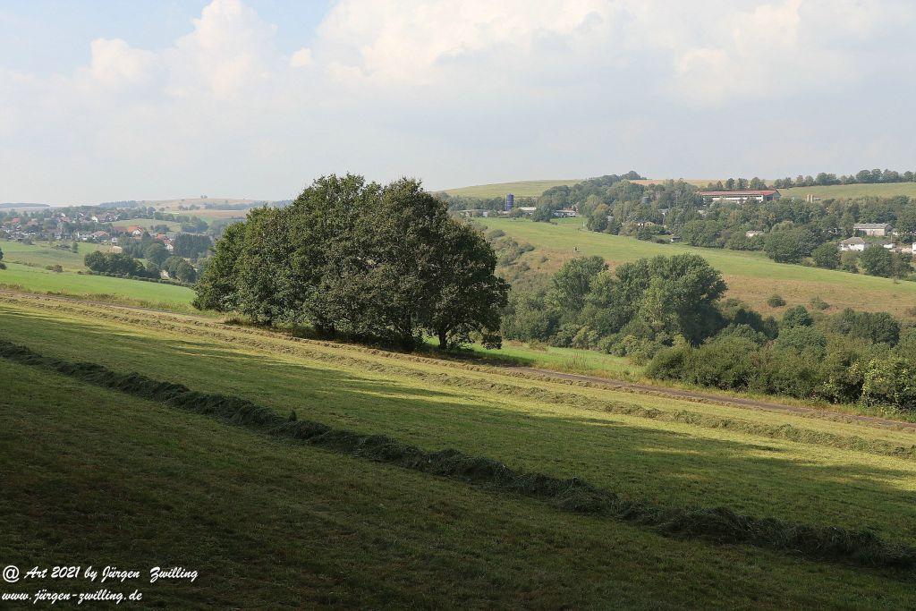 Philosophische Bildwanderung Vitaltour Um die Wüstung - Bockenauer Schweiz - Soonwald - Nahe