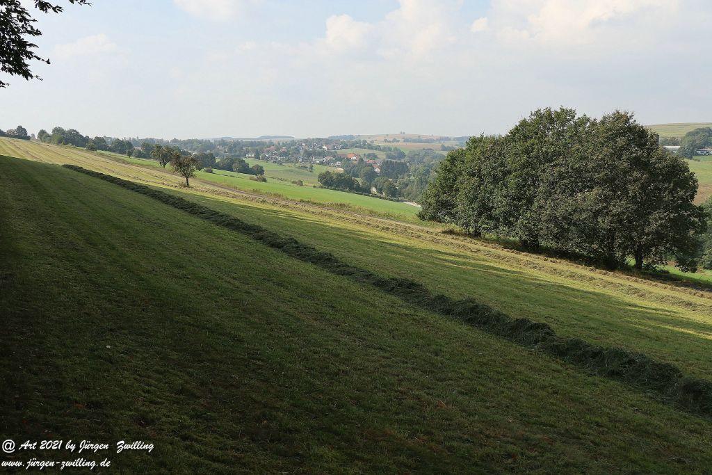 Philosophische Bildwanderung Vitaltour Um die Wüstung - Bockenauer Schweiz - Soonwald - Nahe