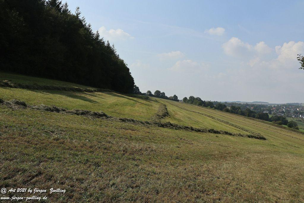 Philosophische Bildwanderung Vitaltour Um die Wüstung - Bockenauer Schweiz - Soonwald - Nahe