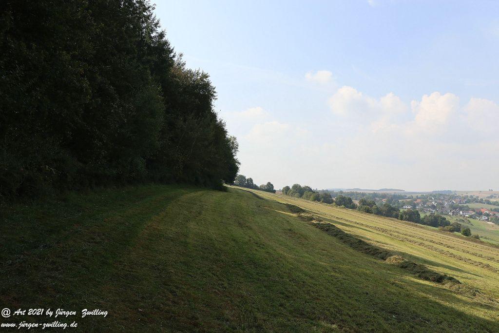 Philosophische Bildwanderung Vitaltour Um die Wüstung - Bockenauer Schweiz - Soonwald - Nahe