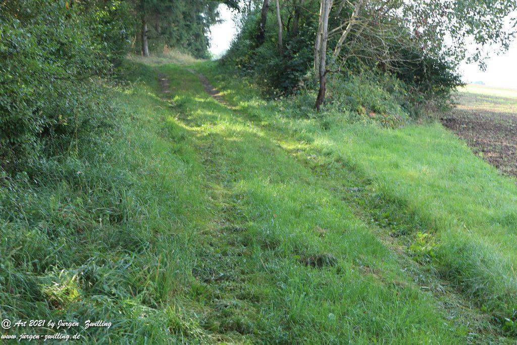 Philosophische Bildwanderung Vitaltour Um die Wüstung - Bockenauer Schweiz - Soonwald - Nahe