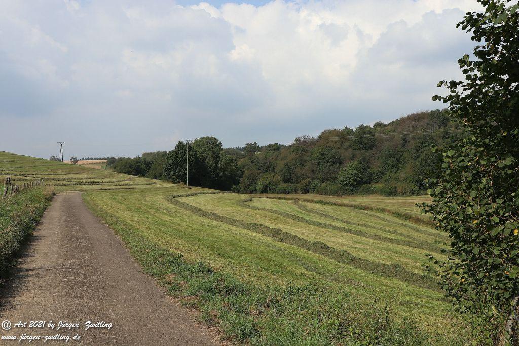 Philosophische Bildwanderung Vitaltour Um die Wüstung - Bockenauer Schweiz - Soonwald - Nahe