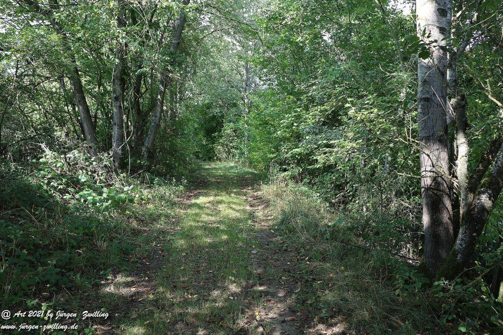 Philosophische Bildwanderung Vitaltour Um die Wüstung - Bockenauer Schweiz - Soonwald - Nahe