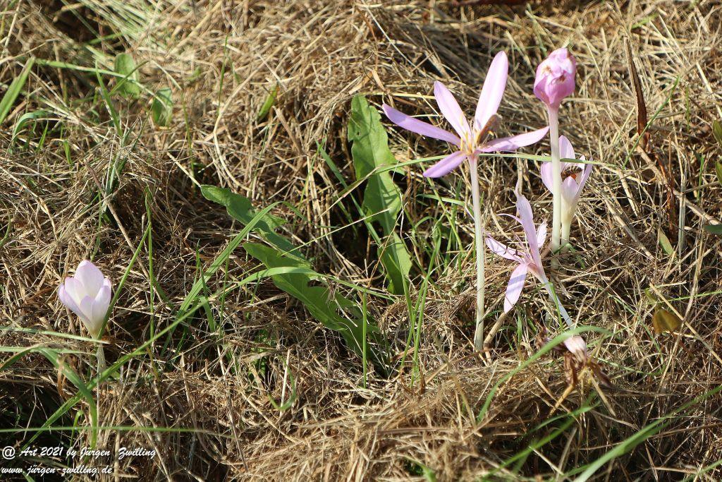 Philosophische Bildwanderung Vitaltour Um die Wüstung - Bockenauer Schweiz - Soonwald - Nahe