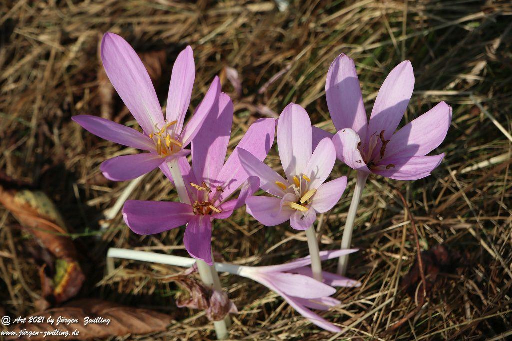 Philosophische Bildwanderung Vitaltour Um die Wüstung - Bockenauer Schweiz - Soonwald - Nahe