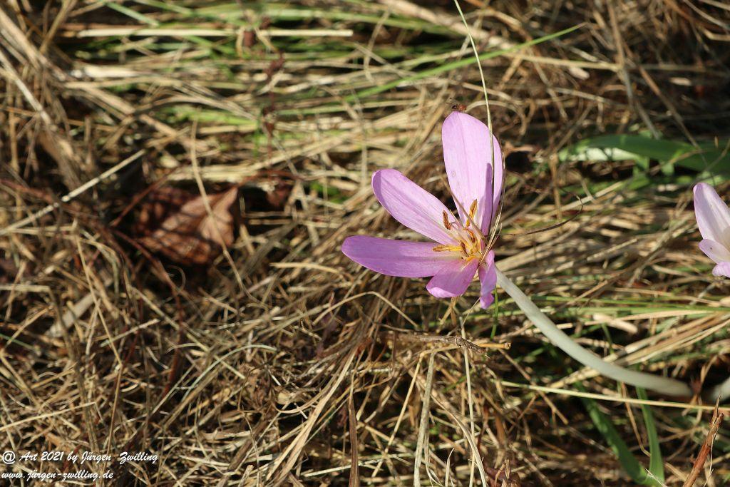 Philosophische Bildwanderung Vitaltour Um die Wüstung - Bockenauer Schweiz - Soonwald - Nahe