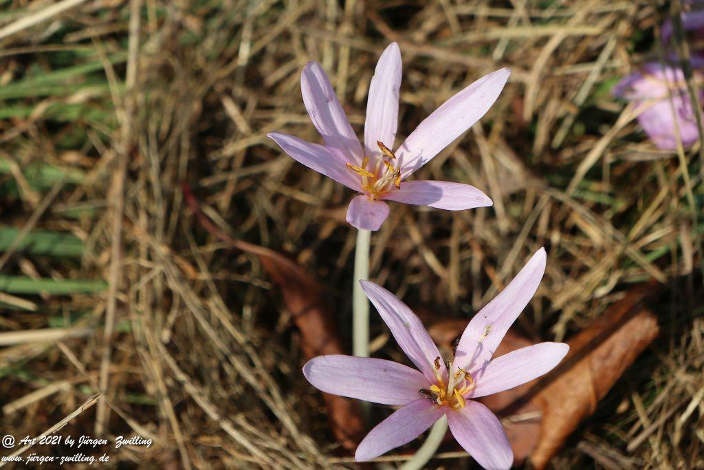 Philosophische Bildwanderung Vitaltour Um die Wüstung - Bockenauer Schweiz - Soonwald - Nahe