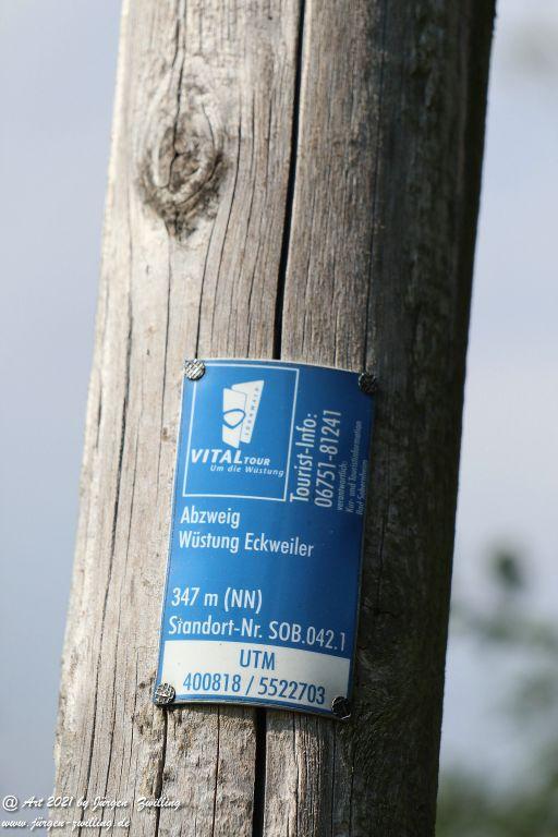Philosophische Bildwanderung Vitaltour Um die Wüstung - Bockenauer Schweiz - Soonwald - Nahe