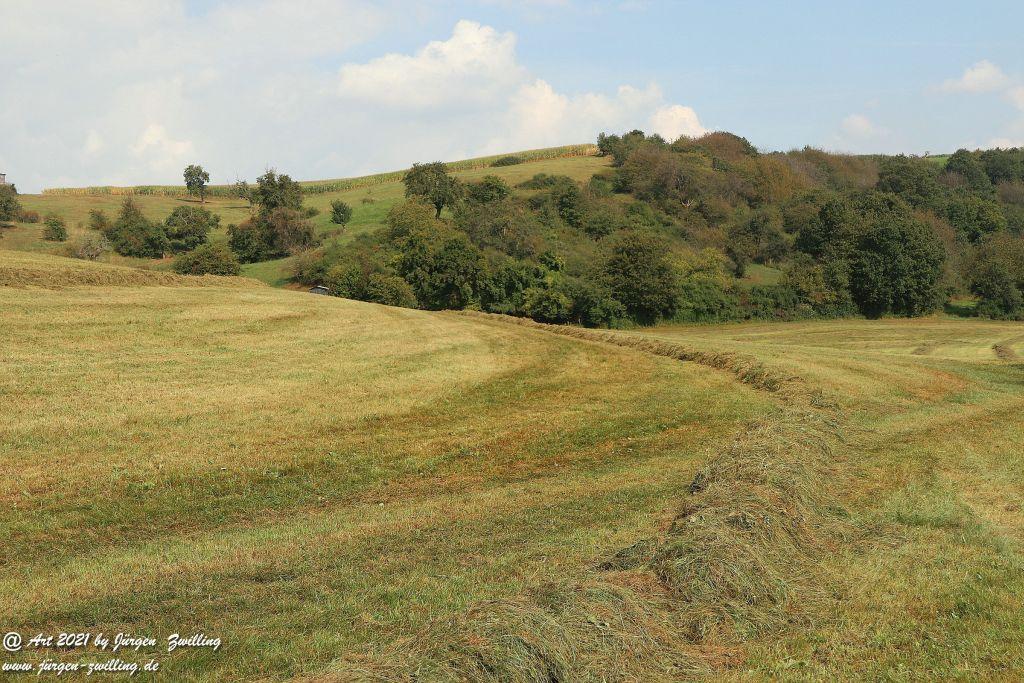 Philosophische Bildwanderung Vitaltour Um die Wüstung - Bockenauer Schweiz - Soonwald - Nahe