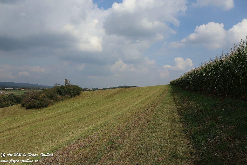 Philosophische Bildwanderung Vitaltour Um die Wüstung - Bockenauer Schweiz - Soonwald - Nahe