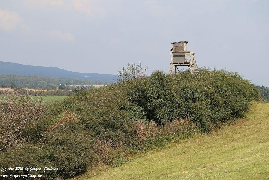 Philosophische Bildwanderung Vitaltour Um die Wüstung - Bockenauer Schweiz - Soonwald - Nahe