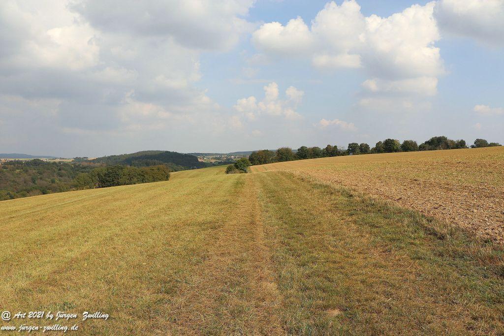 Philosophische Bildwanderung Vitaltour Um die Wüstung - Bockenauer Schweiz - Soonwald - Nahe