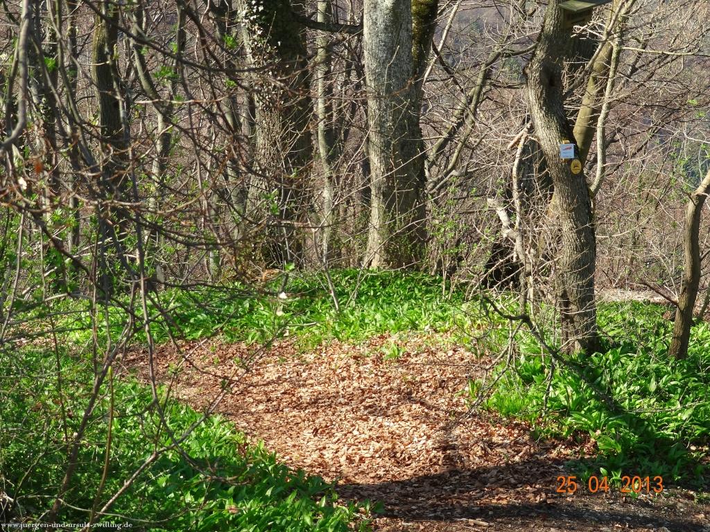 Philosophische Bildwanderung Traufgang-Felsenmeersteig