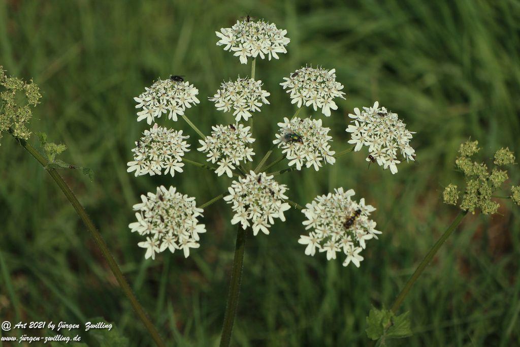 Philosophische Bildwanderung Vitaltour Um die Wüstung - Bockenauer Schweiz - Soonwald - Nahe