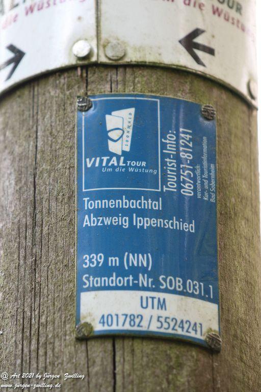 Philosophische Bildwanderung Vitaltour Um die Wüstung - Bockenauer Schweiz - Soonwald - Nahe