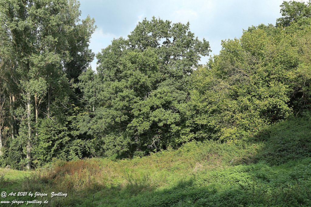 Philosophische Bildwanderung Vitaltour Um die Wüstung - Bockenauer Schweiz - Soonwald - Nahe