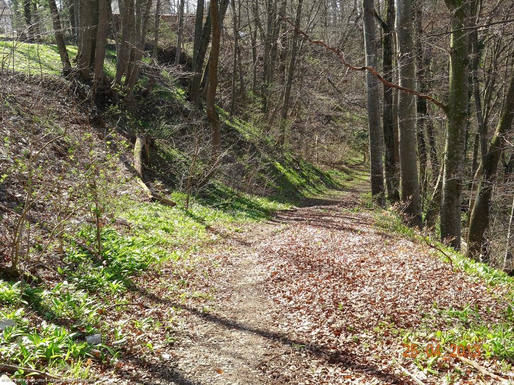 Philosophische Bildwanderung Traufgang-Felsenmeersteig