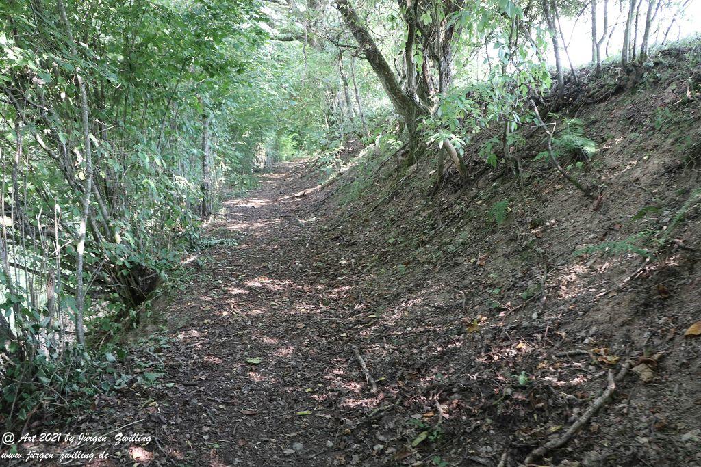 Philosophische Bildwanderung Vitaltour Um die Wüstung - Bockenauer Schweiz - Soonwald - Nahe