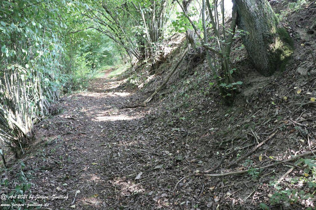Philosophische Bildwanderung Vitaltour Um die Wüstung - Bockenauer Schweiz - Soonwald - Nahe