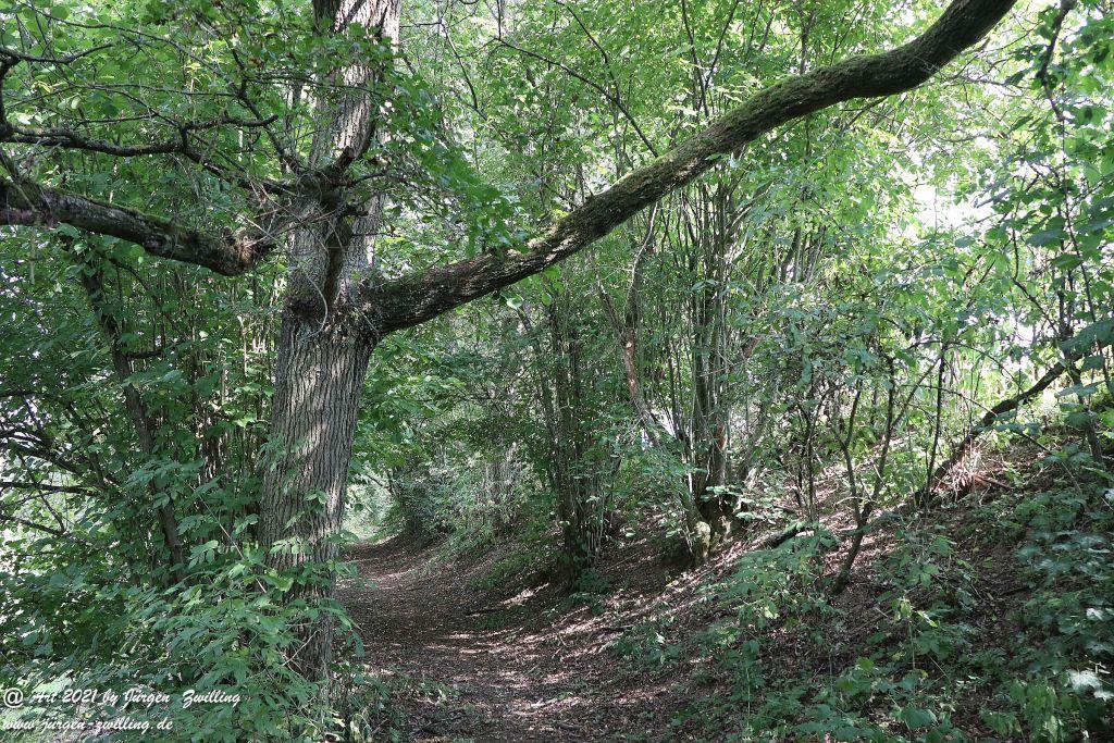 Philosophische Bildwanderung Vitaltour Um die Wüstung - Bockenauer Schweiz - Soonwald - Nahe