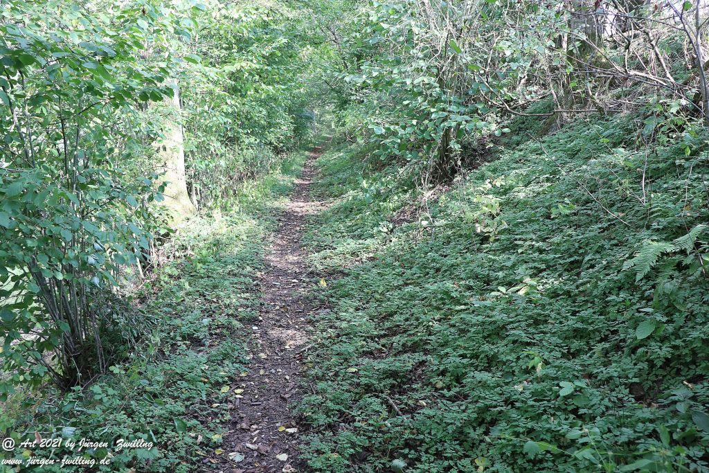 Philosophische Bildwanderung Vitaltour Um die Wüstung - Bockenauer Schweiz - Soonwald - Nahe